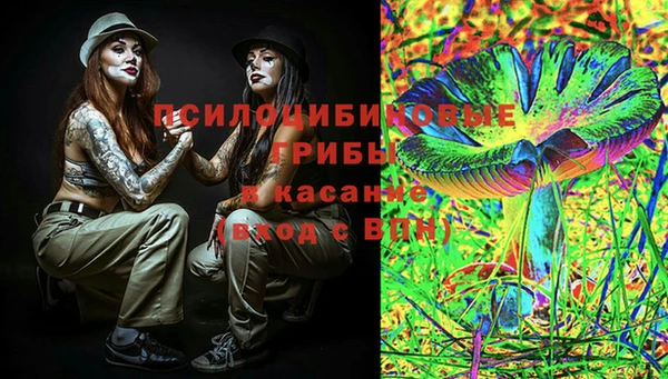 стафф Бронницы