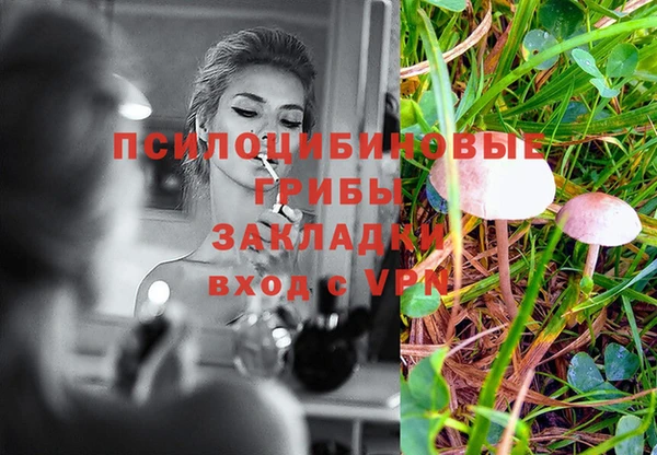 а пвп мука Тында