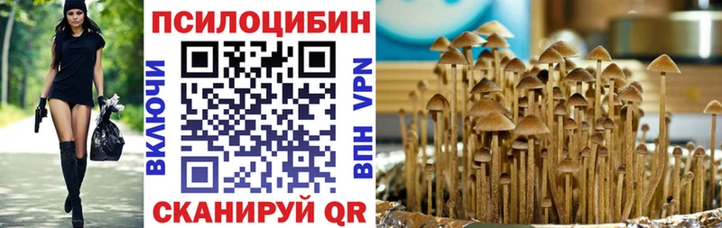 как найти закладки  Семёнов  OMG ссылка  Псилоцибиновые грибы ЛСД 